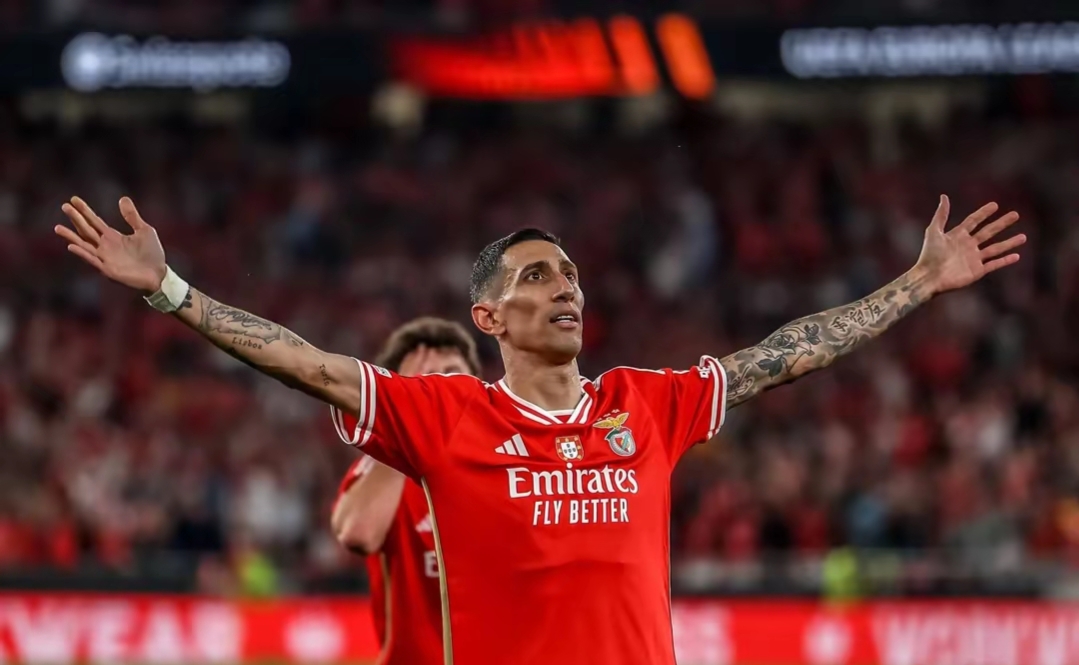 本菲卡今夜造点机会;志在世俱杯名次提升;值得警惕;细节决定成败 本菲卡今夜造点机会;志在世俱杯名次提升;值得警惕;细节决定成败